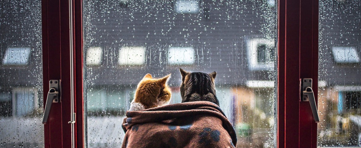 I wish it’d stop raining so that we could play outside