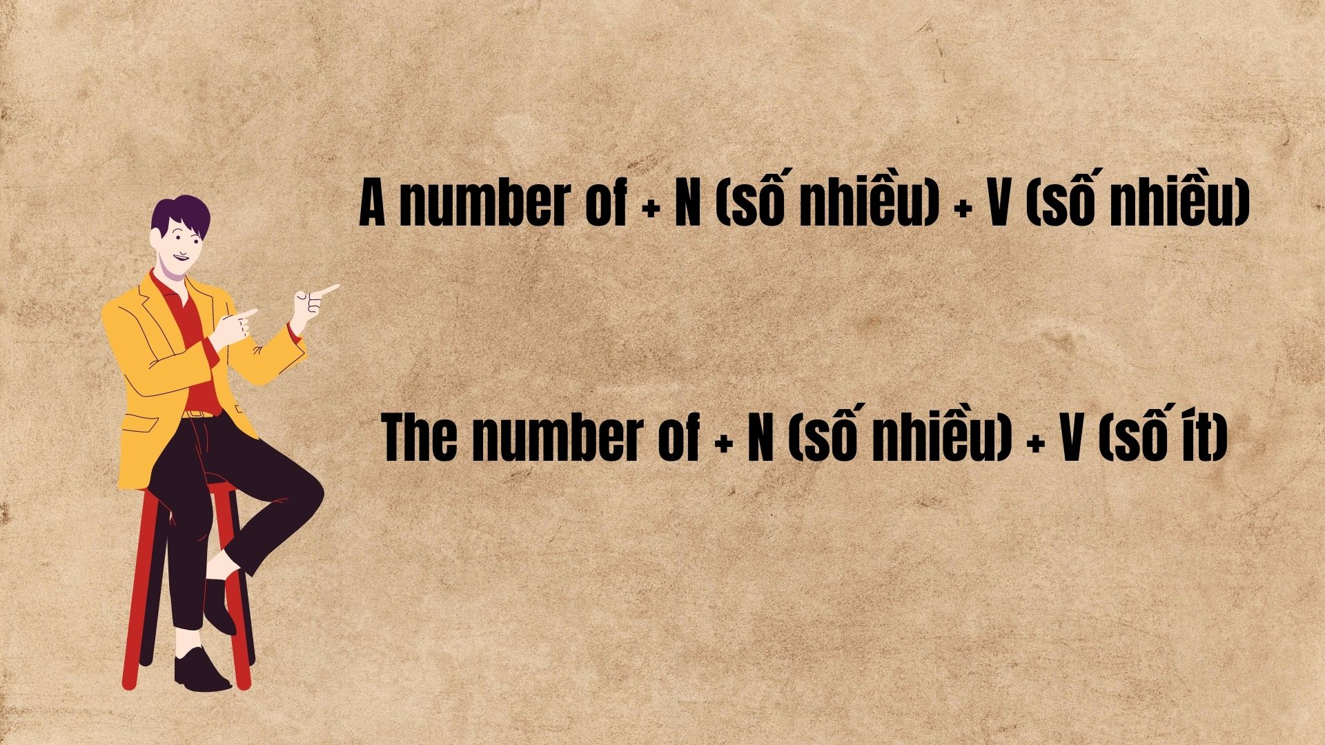 Cấu trúc ngữ pháp của 2 lượng từ A number of và The number of